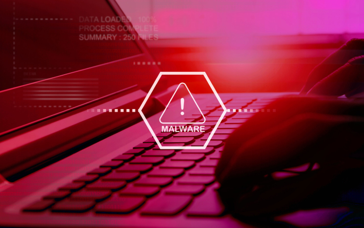  Cybercriminalité en Hausse : Lancer des Attaques de Phishing